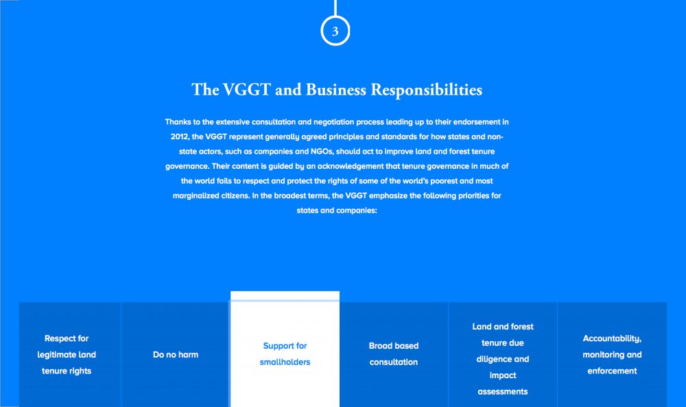 The VGGT and business Responsibilities