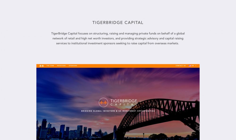 Tiger Bridge - the Firm
