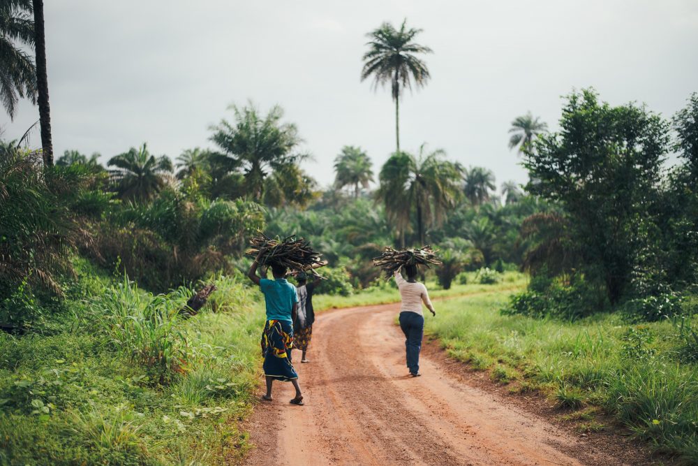 sierra-leone-rural-road-trees